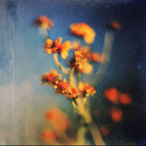Another Way by Beaux Prés