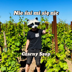Nie śni mi się nic