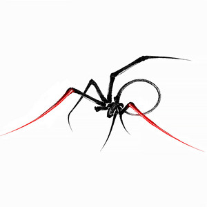 Little Spider - Nocturnal by XPQ-21