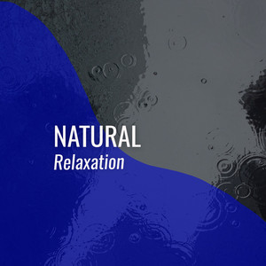 # 1 Album: Natural Relaxation album