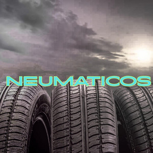 Neumaticos by Praga Bow
