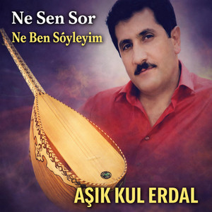NE SEN SOR NE BEN SÖYLEYİM