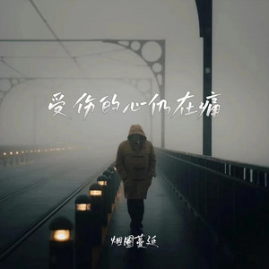 受伤的心仍在痛 - 男版伴奏 by 烟圈蔓延