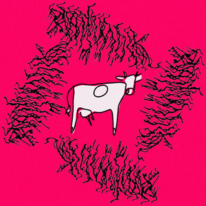 Party Cattle - Red 40 Hamster