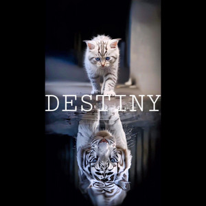 Destiny by Chucky Chee$e