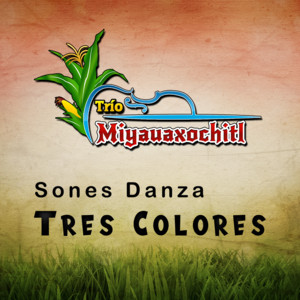 Trio Miyauaxochitl - El Pasito Volador
