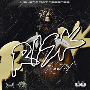 Risk by Kant10t