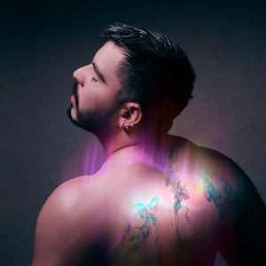Volver by ZAAK MEXIA