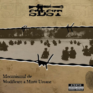 Ingeri Deasupra Romaniei by SDST