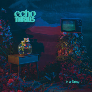 In a Dream by Echo Thrills