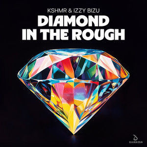 Diamond In The Rough (Extended Mix)