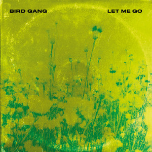 Let Me Go (ned remix) by bird gang, ned