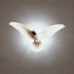 Eterna