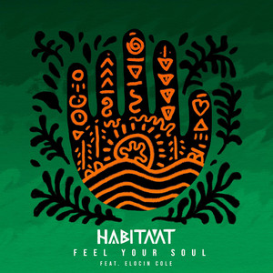 Feel Your Soul by HABITAAT, Elocin Cole