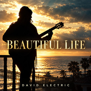 Beautiful Life by David Electric