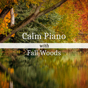 Healing Sounds of Nature by Forest Hills Music Universe