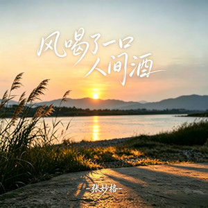 风喝了一口人间酒 - 律动版 by 张妙格