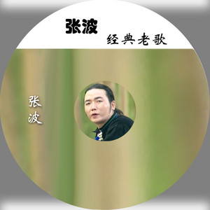 张波 - 山寨小夜曲