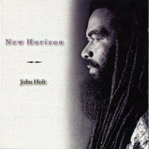 LP盤 JOHN HOLT - LIKE A BOLT / / / レゲエ John Holt: Like A Bolt - album review