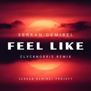 Feel Like (ClvckNorris Remix)