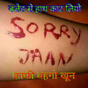 बलेड से हाथ काट लियो, काफी बहगो खून।। Mewati