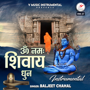 Om Namah Shivay Dhun - Instrumental Version