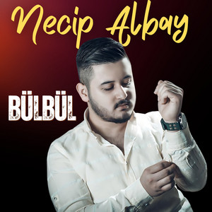 Necip Albay - Bülbül