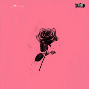 Promise - Radio Edit by TB Stacka