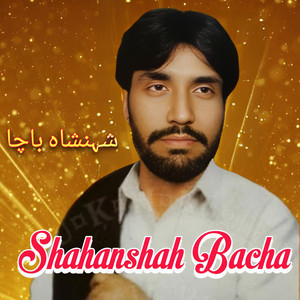 Shahanshah Bacha - Ta Che Stargi Na Ashna Kre