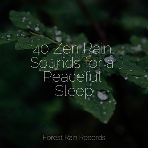40 Zen Rain Sounds for a Peaceful Sleep album