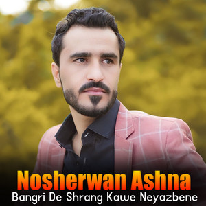Nosherwan Ashna - Dwa Mayanan Jala Kedal