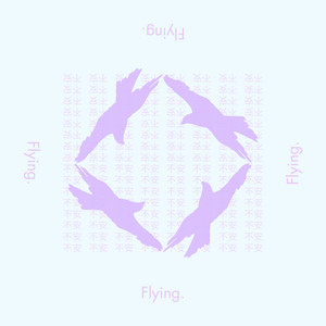 Flying. by seyeke