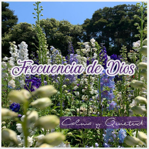 Calma y Quietud - Frecuencia de Dios