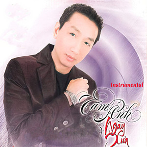 Tấm ảnh ngày xưa (Instrumental) album