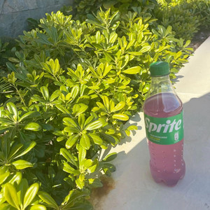 Codeine Brazyyy by JUNYACORE
