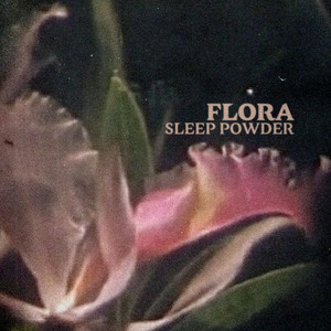 Ficus by Sleep Powder