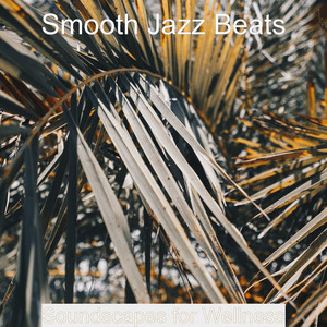 Soundscapes for Wellness album