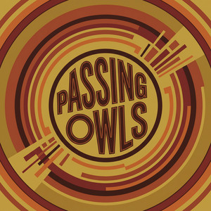 Passing Owls by Sander Volm