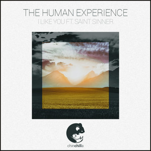 I Like You by The Human Experience, Saint Sinner