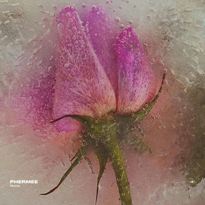 Мысли - ELSBETH Remix by Phermee