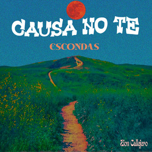 Causa No Te Escondas by Zion Callejero