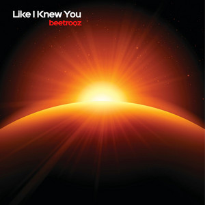 Like I Knew You by beetrooz