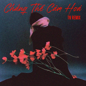 TN - Chẳng Thể Cảm Hóa