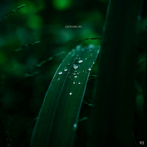 Dewdrops by August Wells