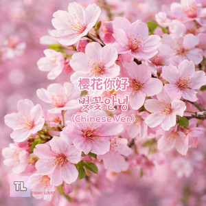 樱花你好 벚꽃안녕 - Chinese Ver. by TODAY LOVER