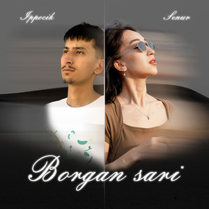 Ippocik & Senur - Borgan sari