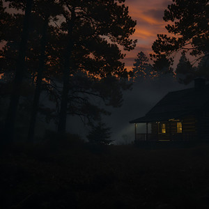 When The Mind Goes Quiet by Chills