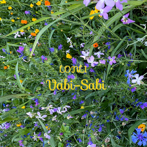 LONLI — Vabi - Sabi