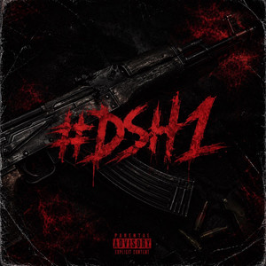 #DSH1 by NS Onze