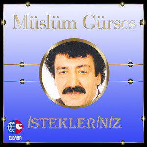 Müslüm Gürses - O Yaktı Beni
